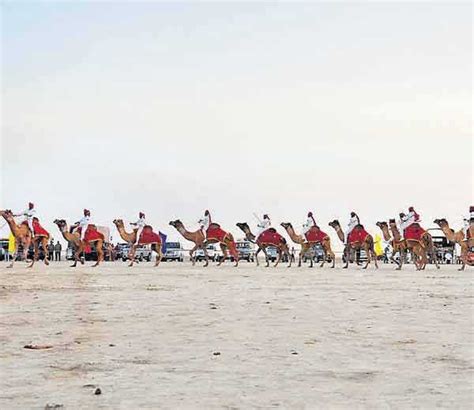 Kutch Rann Utsav: Full Moon Celebrations in White Sand