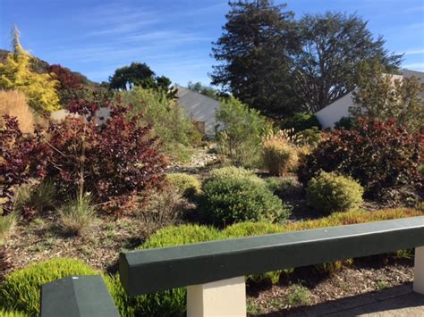 Carmel Valley Manor | Monterey Bay Friendly Landscaping