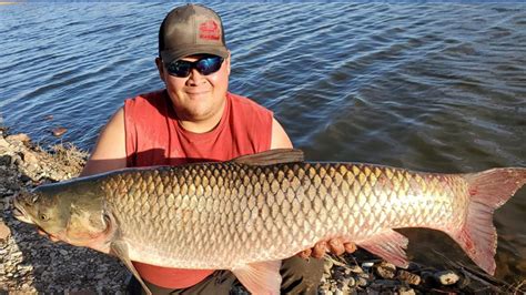 Southern Colorado man reels in giant carp