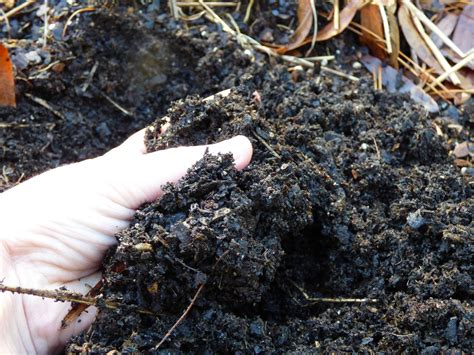 What Is Well Draining Soil - Learn About The Importance Of Well-Drained Soil | Gardening Know How