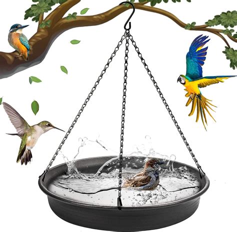 Amazon.com : Hanging Bird Bath Hanging Bird-Feeder - CARGEN Garden Bird ...