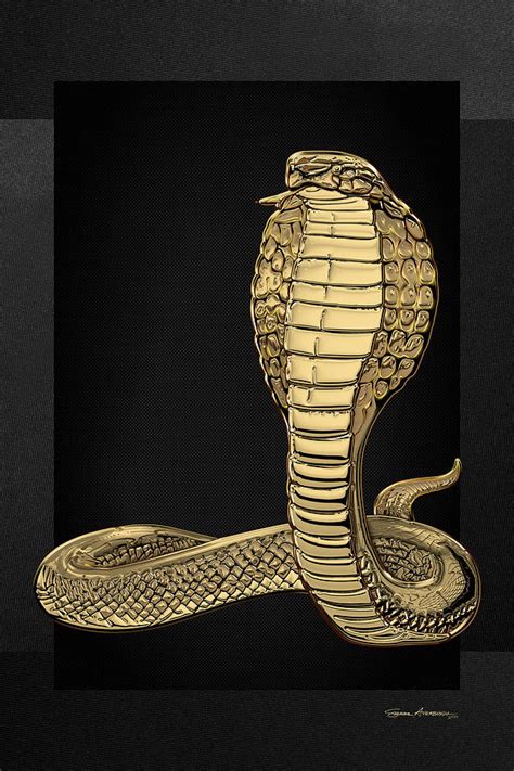 Gold King Cobra on Black Canvas Digital Art by Serge Averbukh - Fine Art America