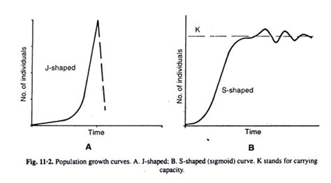 5. Explain Malthus theory of human population | Class Twelve Biology