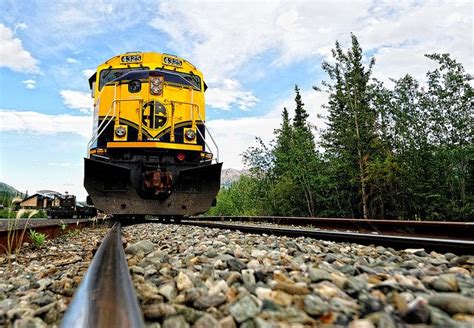 Alaska Railroad - Denali train depot | Alaska railroad, Alaska, Denali national park