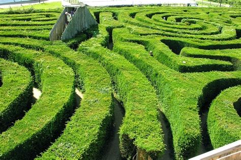 Longleat Hedge Maze: The Longest in The World | Amusing Planet