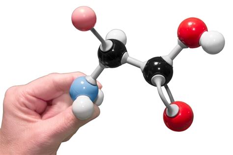 Amino Acid Building Block Models© – 3D Molecular Designs