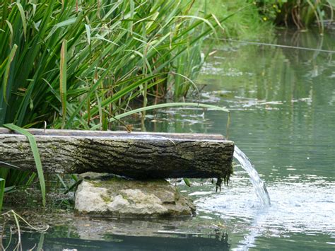 Images Gratuites : paysage, eau, la nature, marais, plante, Lac, rivière, roseau, faune, courant ...