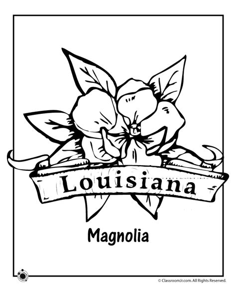 State Flower Coloring Pages Louisiana State Flower Coloring Page – Classroom Jr. | Flower ...