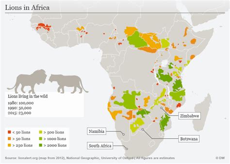 No chance for Africa′s lions? | Environment | All topics from climate ...