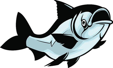 Carp Clip Art, Vector Images & Illustrations - iStock