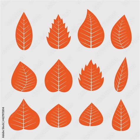 Autumn leaves vector set. Different orange leaves collection flat vector illustration. red ...