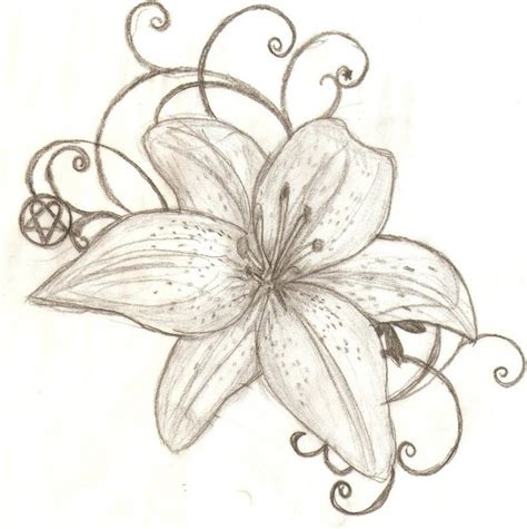 Tiger Lilies Drawing at GetDrawings | Free download