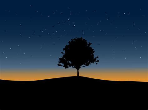 Night Sky and Tree Silhouette 3642052 Vector Art at Vecteezy