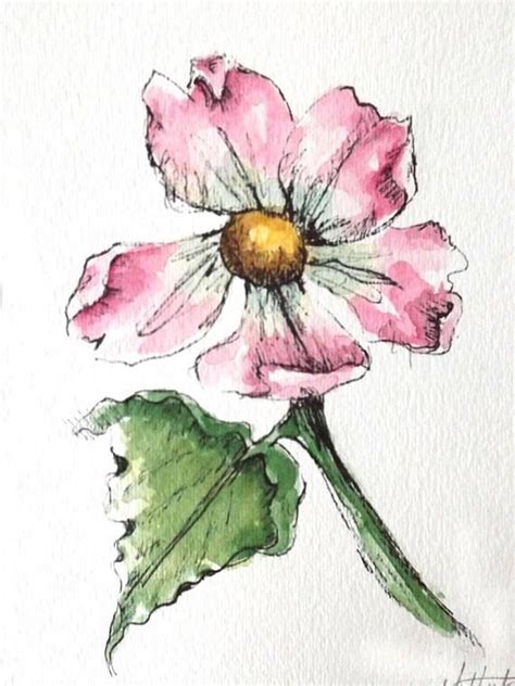 Pen And Ink Watercolor Flowers at GetDrawings | Free download