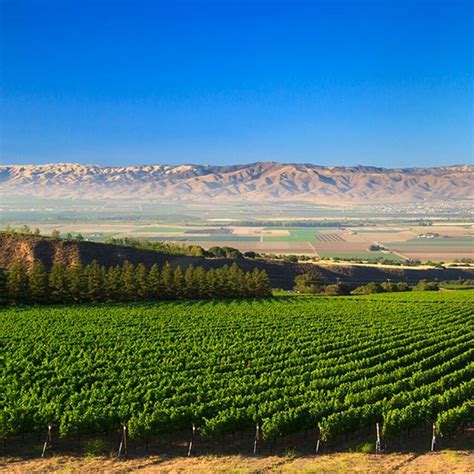 Interesting Facts about Lodi in California region | Winetourism.com