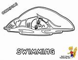 Girl Swimmer Coloring Page  Home sketch template