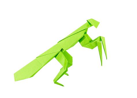 Origami Praying Mantis Stock Photos, Pictures & Royalty-Free Images - iStock