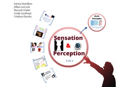 Sensation and Perception AP Psychology by Cindy Gombaut on Prezi