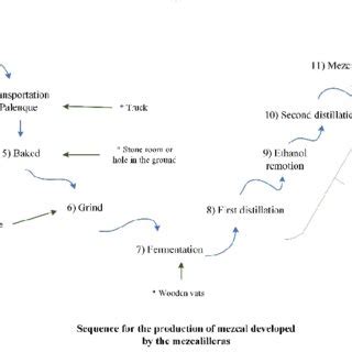 Current production process of agave-mezcal from the mezcalilleras. | Download Scientific Diagram