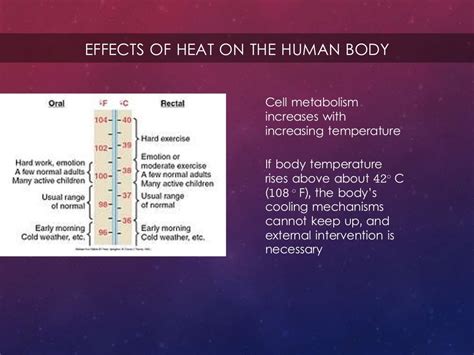 Heat and the human body