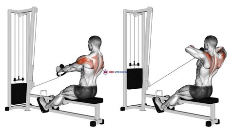 Cable Rear Delt Row (stirrups) - Home Gym Review