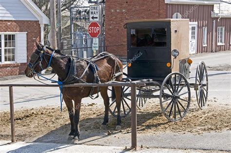 Amish horse and buggy — Stock Photo © jcpjr1111 #2641488