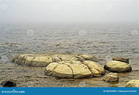 Rare Fossils 3.5 Billion Years Old Thrombolites Stock Image - Image of coastline, calcium: 86054689