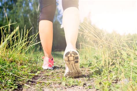 Hiking Trails in West Hills: Discover The Victory Loop Trail