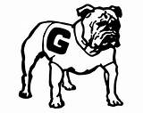 Georgia Bulldogs Coloring Pages sketch template