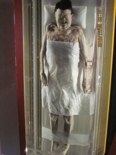 This 2,200 Year Old Mummy is So Well Preserved There's Still Blood in Its Veins | The Vintage News