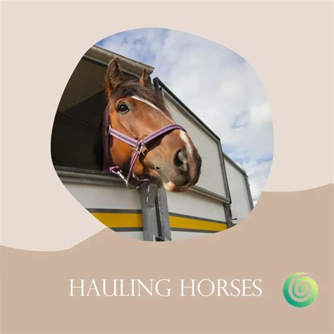 Horse Trailer Brands to Avoid On The Market - Worst Brands