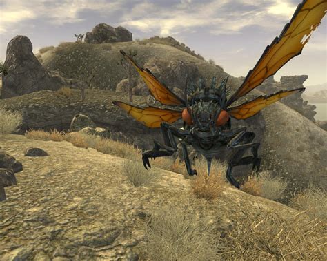 Image - Cazador up close and personal.jpg | Fallout Wiki | FANDOM powered by Wikia