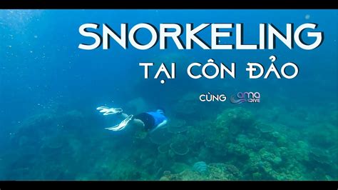 Một buổi sáng lặn thử ở nơi ít người biết | Snorkeling tại Côn Đảo - YouTube