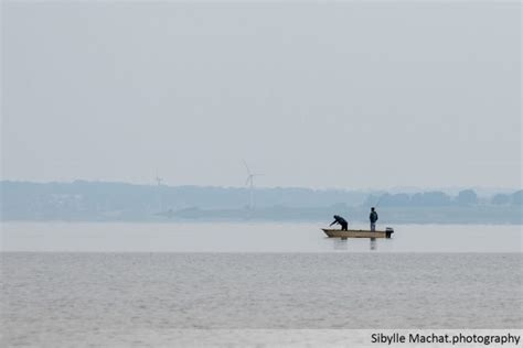 Fishing on the Flensburg Fjord | Sibyllogy.com