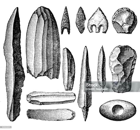 Neolithic Tools And Weapons Stock Illustration - Download Image Now ...