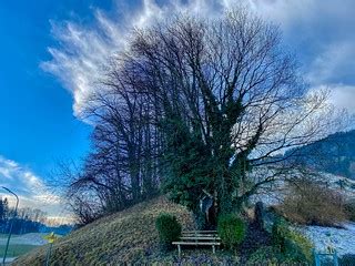 Tree with bench in Ried near Kiefersfelden in Bavaria, Ger… | Flickr