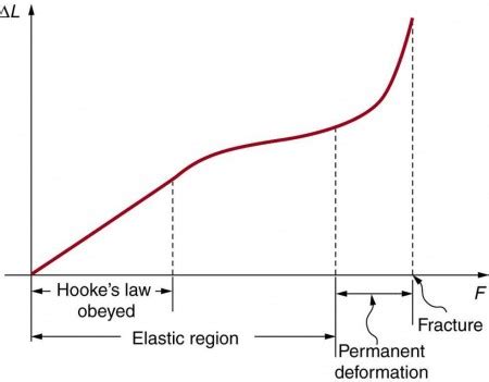 Elasticity: Stress and Strain | Physics