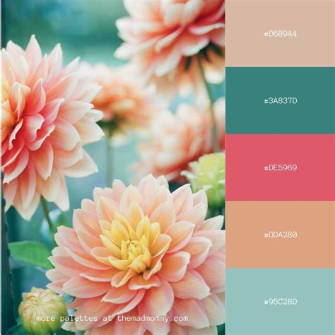 Kaikki yhteensä 66+ imagen canva color schemes - abzlocal fi