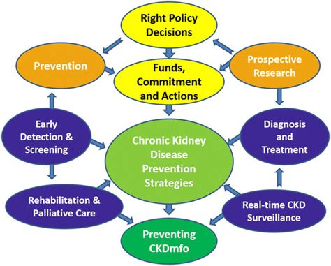 Strategies for prevention and control of chronic kidney disease of... | Download Scientific Diagram