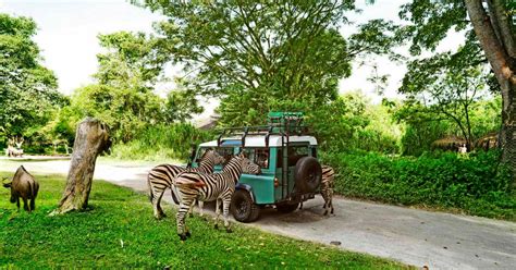 Bali Safari And Marine Park - Things Need To Know Before Visiting