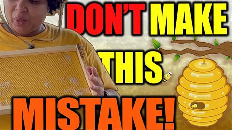 BEES HATE THIS! Dont make THIS mistake with your BEEHIVE! - YouTube