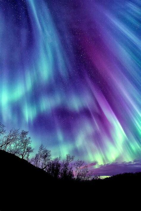 Aurora Borealis | Northern lights, Northen lights, Night skies