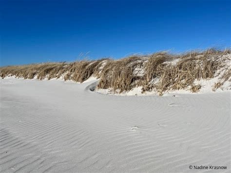 West Falmouth Winter Beach - Falmouth Fine Properties