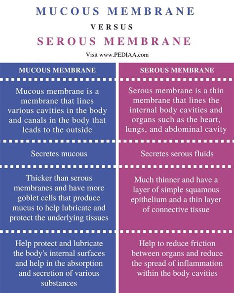 What is the Difference Between Mucous Membrane and Serous Membrane - Pediaa.Com