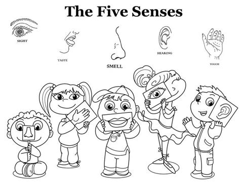 Free Five Senses Coloring Pages, Download Free Five Senses Coloring Pages png images, Free ...