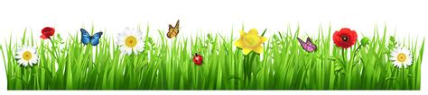 Spring Grass with Flowers PNG Clipart Picture#.VpXaD3lun4g | art and craft | Pinterest | Clip ...