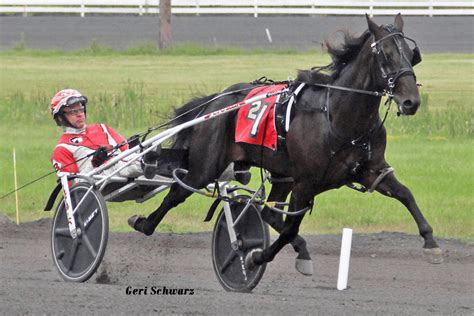 Impressive Two-Year-Old Talent on Display at Monticello Raceway - Monticello Raceway