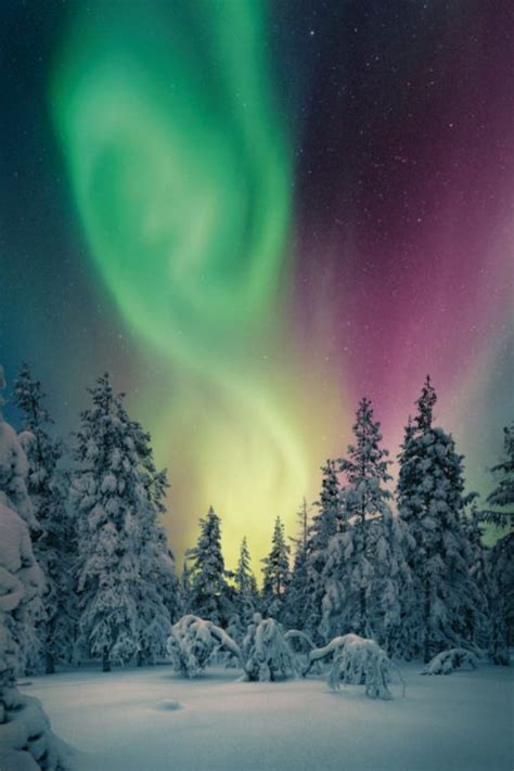 A Northern Lights Adventure in Finland | Travel Insider