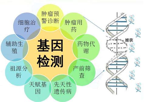 基因检测是什么？为什么要做基因检测？-京东健康