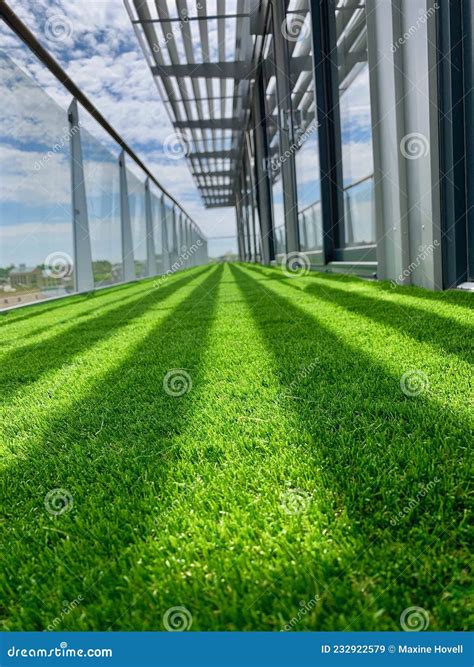 Fake Grass on a High Balcony Stock Image - Image of plasticgrass, high: 232922579